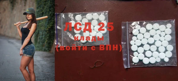 стаф Корсаков