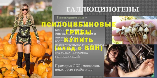 PSILOCYBIN Красноперекопск
