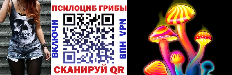 Псилоцибиновые грибы Psilocybe  Урай 