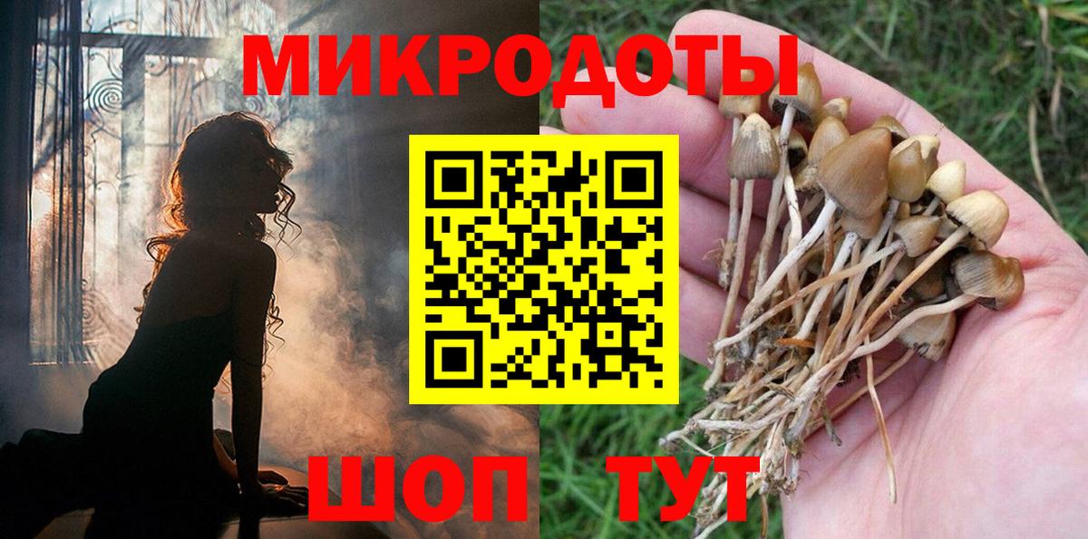 сколько стоит  Урай  Псилоцибиновые грибы Cubensis 