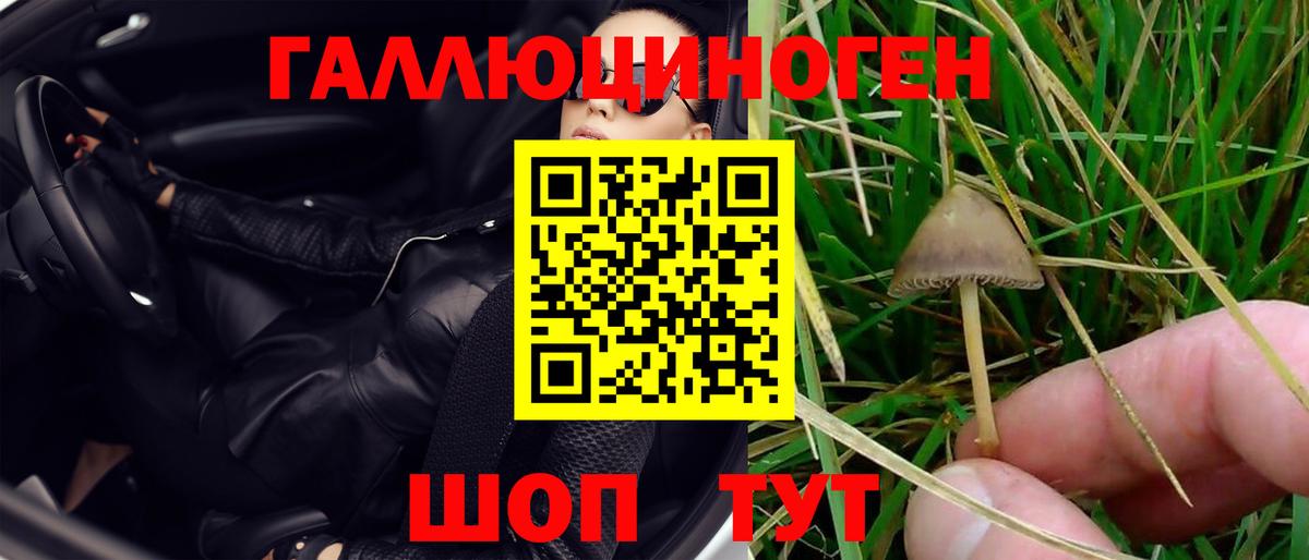 Урай  магазин  наркотиков  Вход с VPN  Псилоцибиновые грибы GOLDEN TEACHER 